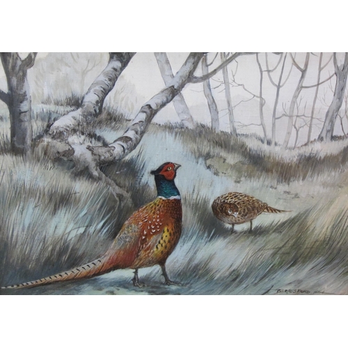 511 - BERRISFORD HILL. 'Game Dog and Pheasant' and 'Two Pheasants', signed, oil on panel, 5 x 6in, and sli... 