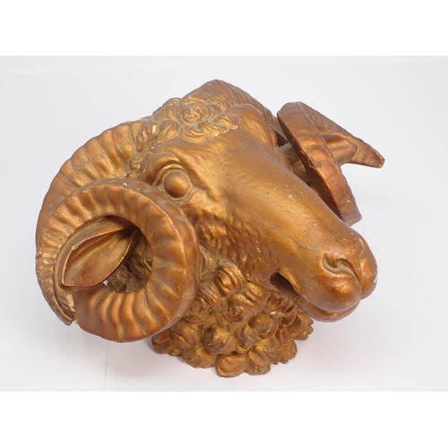 666 - A gilded carved wooden Ram's Head, 9in