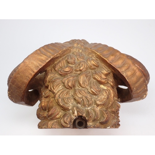 666 - A gilded carved wooden Ram's Head, 9in