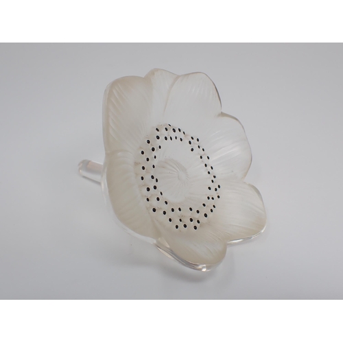 679 - A Lalique Candlestick in the form of an anemone