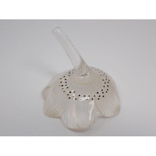 679 - A Lalique Candlestick in the form of an anemone