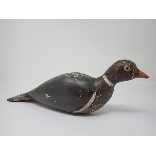 692 - A carved and painted woodpigeon Decoy 13in K