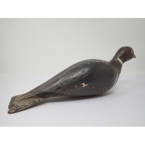 692 - A carved and painted woodpigeon Decoy 13in K