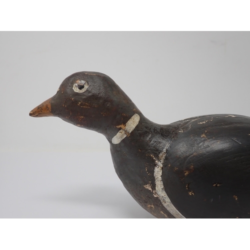 692 - A carved and painted woodpigeon Decoy 13in K