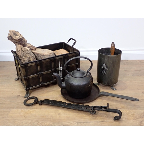 725 - A copper rectangular Log Bin with iron strapwork, a Fire Crane, Kettle, etc.