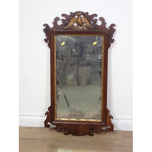 780 - A 19th Century mahogany framed Wall Mirror with gilt Ho Ho bird surmount and slip 2ft 10in H x 1ft 7... 