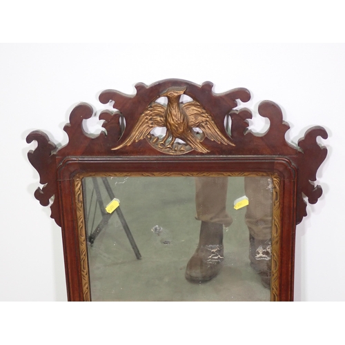 780 - A 19th Century mahogany framed Wall Mirror with gilt Ho Ho bird surmount and slip 2ft 10in H x 1ft 7... 