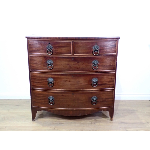 800A - A 19th Century mahogany bow fronted Chest of two short and three long drawers mounted upon splayed f... 