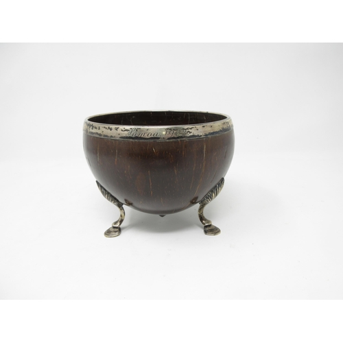 101 - A white metal mounted Coconut Cup, engraved Samoa 1902, on cabriole supports and hoof feet, 5in diam