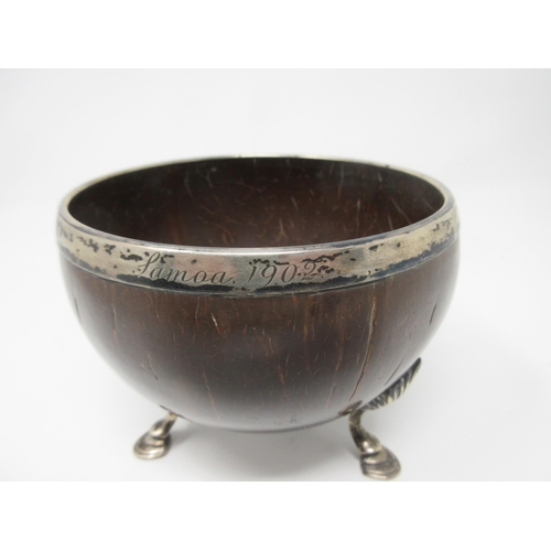 101 - A white metal mounted Coconut Cup, engraved Samoa 1902, on cabriole supports and hoof feet, 5in diam