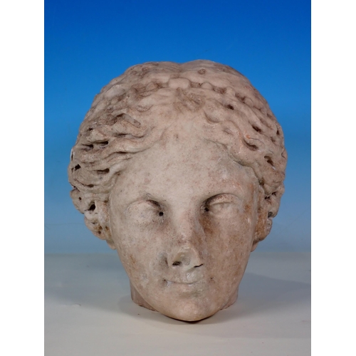 23 - An antique carved marble head of a Woman in the classical manner A/F 9in H