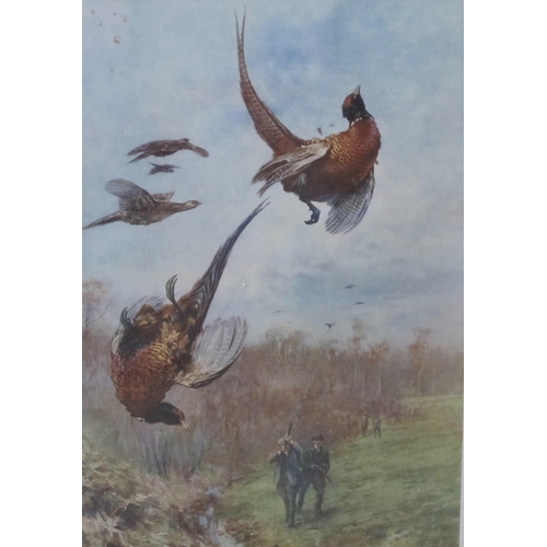 401 - A selection of Sporting/Ornithological colour prints after Thomas Blinks, J.C. Harrison, Ian Nathan,... 