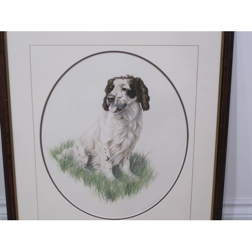 421 - NIGEL HEMMINGS. A Springer Spaniel, signed and dated 86, watercolour, oval, 16 1/2 x 13 in; together... 