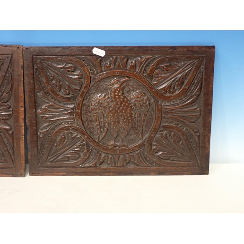 550 - A pair of 17th Century oak Panels carved with eagles surrounded by leafage border 1ft 3 1/2in W x 11... 