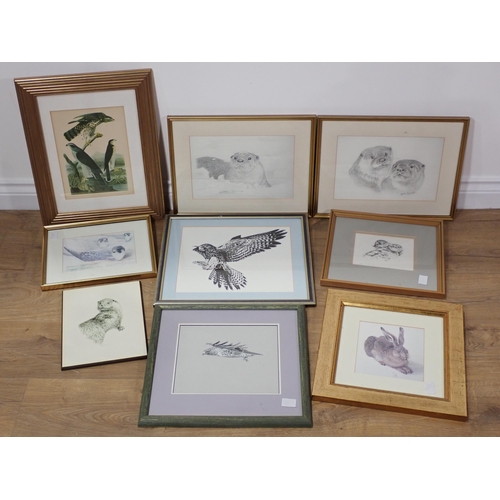 715A - A quantity of wildlife and other Prints