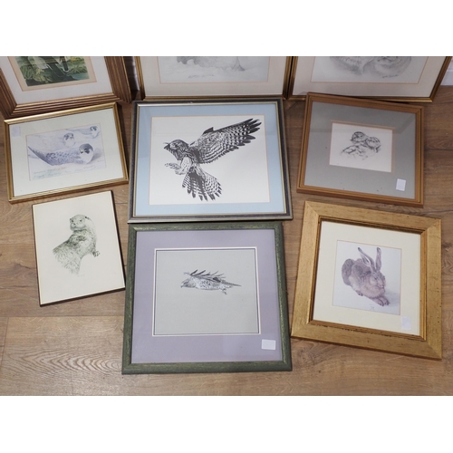 715A - A quantity of wildlife and other Prints