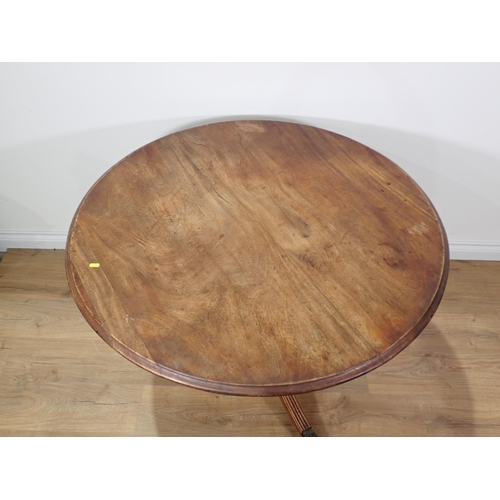 719 - A 19th Century mahogany Supper Table with moulded circular top on tripod base with brass paw toe cap... 