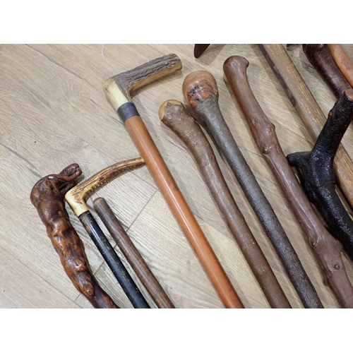 82 - A quantity of Walking Sticks, Shooting Stick, two Aborigine type Sticks, etc.