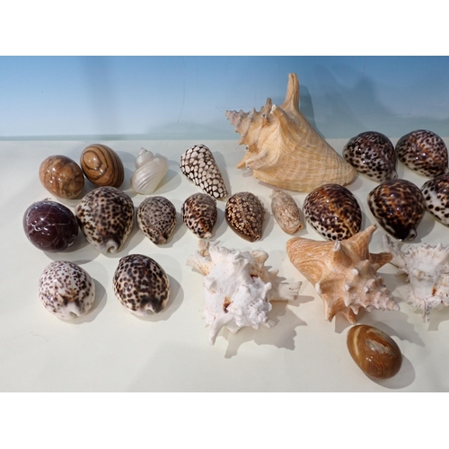 85 - A box of Shells and Egg Ornaments, etc.