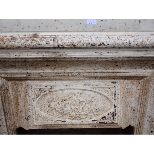 747 - Two 19th Century cast iron Fire Surrounds