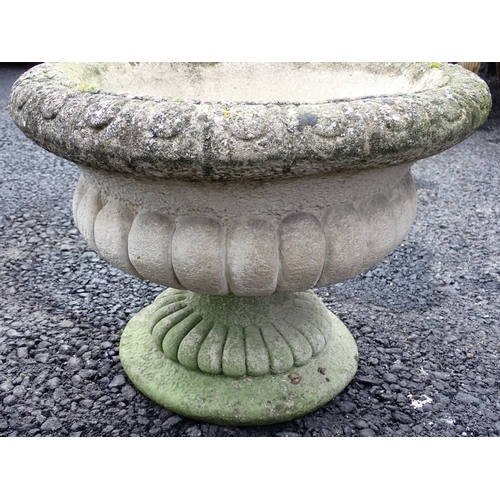 769 - A concrete Planter on pedestal base