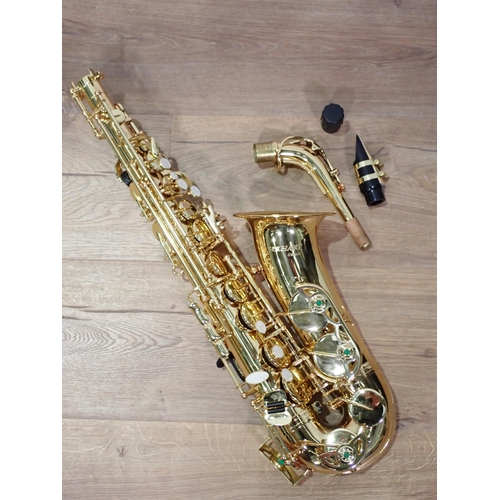 94 - An Elkhard Deluxe Saxophone in case