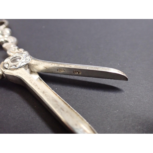 222 - A pair of Victorian silver Grape Scissors, London 1889