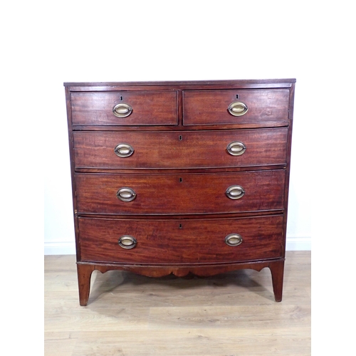 294 - A 19th Century mahogany bow fronted Chest of two short and three long drawers 3ft 8in H x 3ft 6in W