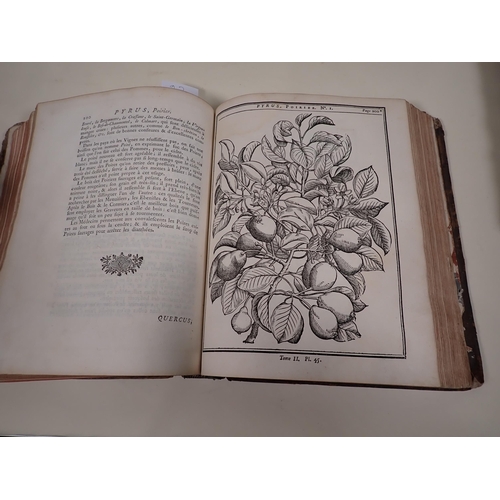 22 - DUHAMEL DU MONCEAU, Traite Des Arbres et Arbustes, Qui se Cultivent en France En Pleinne Terre, nume... 