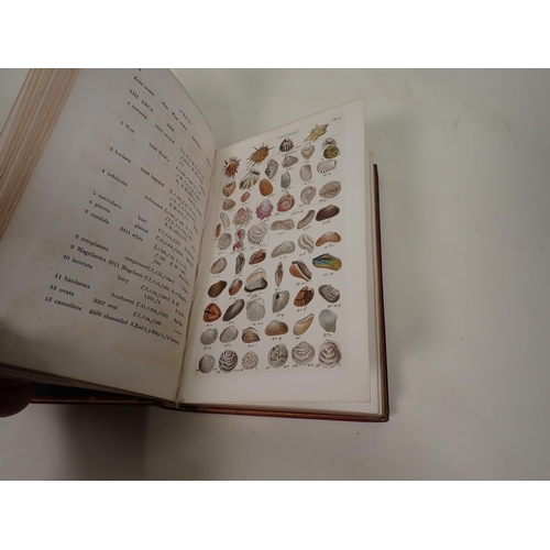 42 - WOOD William, Index Testaceologicus or A Catalogue of Shells, British and Foreign, arranged accordin... 