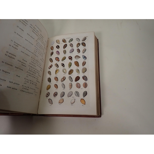 42 - WOOD William, Index Testaceologicus or A Catalogue of Shells, British and Foreign, arranged accordin... 