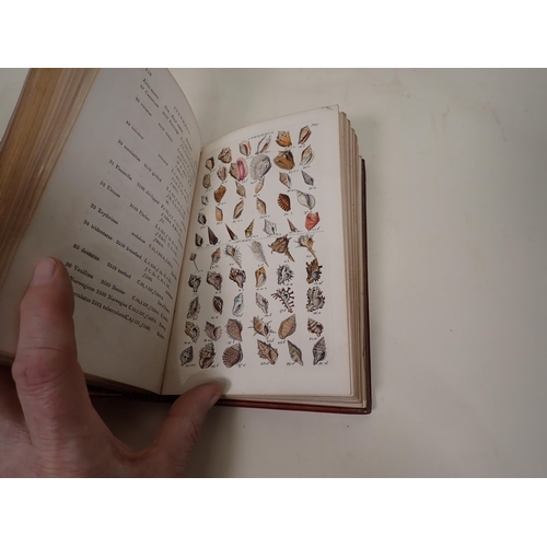 42 - WOOD William, Index Testaceologicus or A Catalogue of Shells, British and Foreign, arranged accordin... 