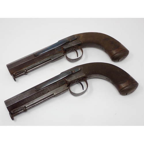 451 - A cased pair of Percussion Belt Pistols by John Blanch, side hammer box lock actions, large calibre ... 