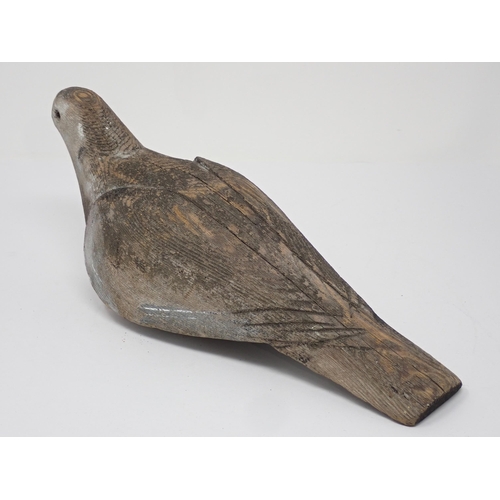 493 - An antique carved Pigeon Decoy with carved shoulders and primaries, some paint remnants, lacking eye... 