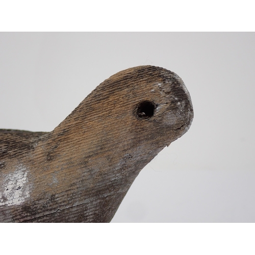 493 - An antique carved Pigeon Decoy with carved shoulders and primaries, some paint remnants, lacking eye... 