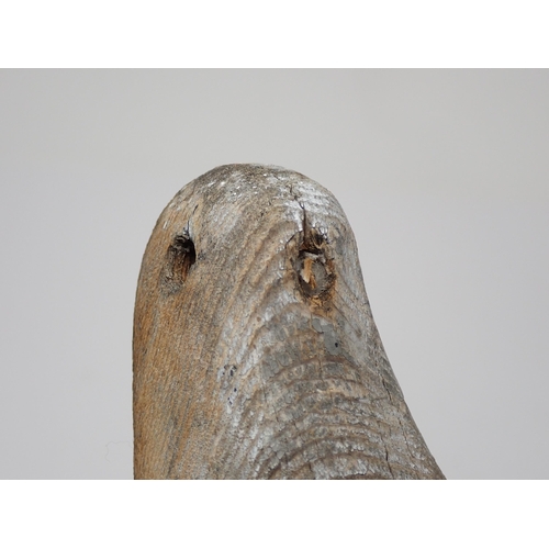 493 - An antique carved Pigeon Decoy with carved shoulders and primaries, some paint remnants, lacking eye... 