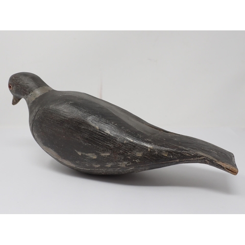 503 - A carved and painted Pigeon Decoy with glass eyes, 13