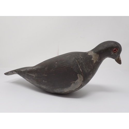 503 - A carved and painted Pigeon Decoy with glass eyes, 13