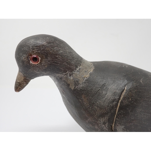 503 - A carved and painted Pigeon Decoy with glass eyes, 13