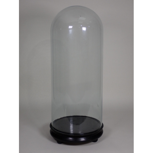 562 - An antique tall glass Dome on circular base 1ft 11in H