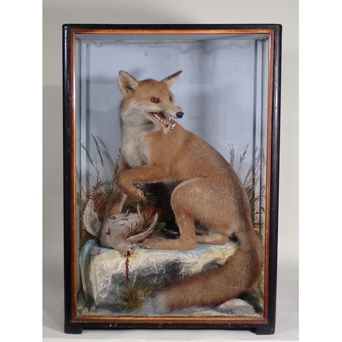 576 - An antique ebonised and glazed taxidermy Case displaying a Fox with Grey Partridge prey by James Hut... 