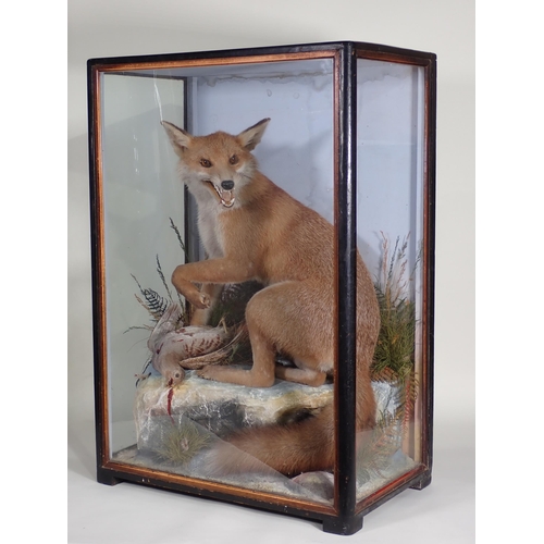 576 - An antique ebonised and glazed taxidermy Case displaying a Fox with Grey Partridge prey by James Hut... 