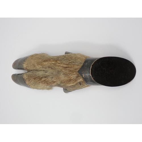 590 - A taxidermy Reed Deer Hoof Trophy Mount in the manner of Rowland Ward, engraved 'Devon & Somerset St... 