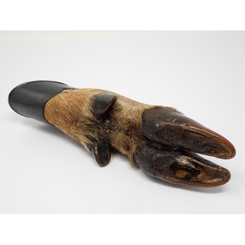 590 - A taxidermy Reed Deer Hoof Trophy Mount in the manner of Rowland Ward, engraved 'Devon & Somerset St... 