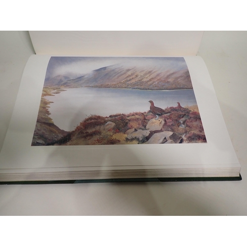 91 - RICKMAN Philip, A Selection of Bird Paintings and Sketches, 1st edition, Ltd 500/474, signed by auth... 