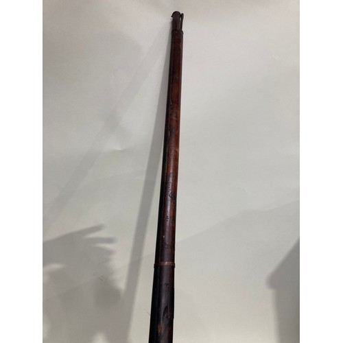 447A - A 19th Century long barrelled Musket with straight cut stock 6ft L