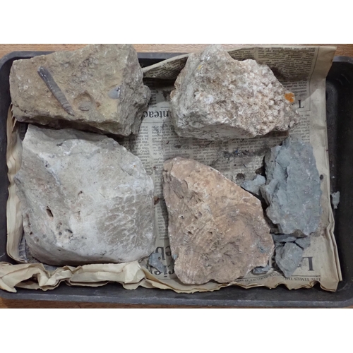 17 - A quantity of Fossils and Rock Specimens