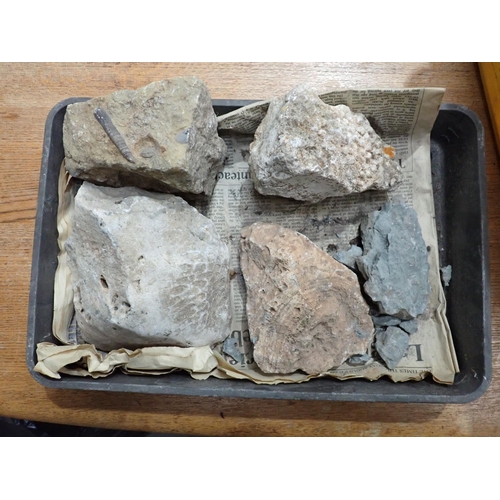 17 - A quantity of Fossils and Rock Specimens