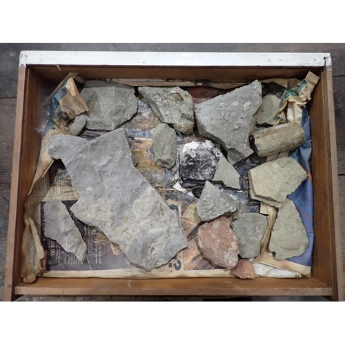 17 - A quantity of Fossils and Rock Specimens