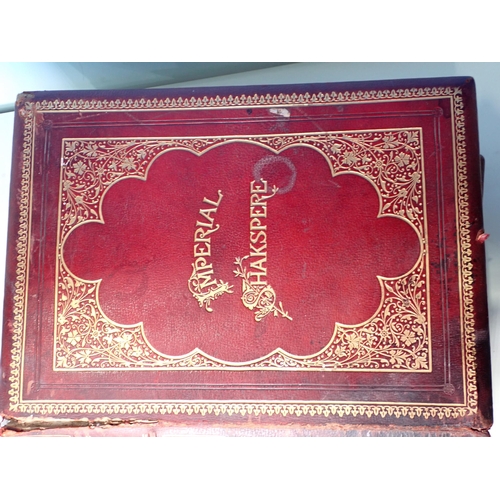 294 - Charles Knight, The Works of Shakespeare, 2 leather bound volumes, A/F